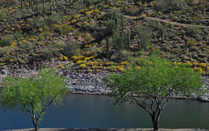 spring at the north ramp